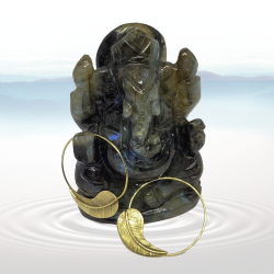 Belle paire de créole femme en forme de plume sculpté