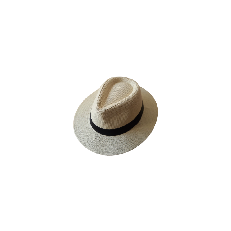 Chapeaux style panama 57-58